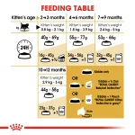 Royal Canin Persian Kitten (2KG) Up to 12 months - Image 2