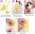 Angel Wings Animal Harness with Leash for Small Pet - Image 6