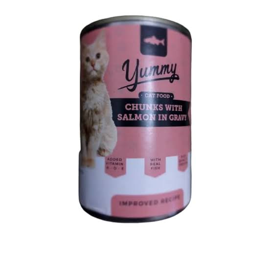Yummy cat wet food chunks with salmon‏