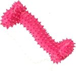 Nylabone Puppy Chew Toy